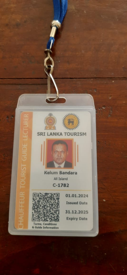 Tour Guide License
